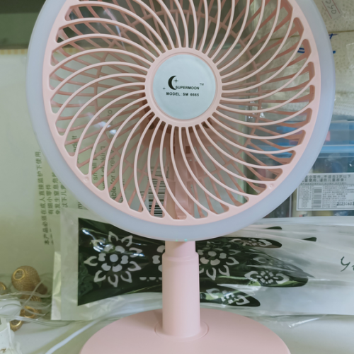 Portable fan