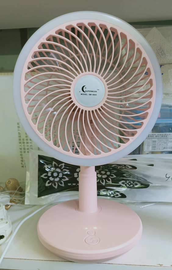 Portable fan